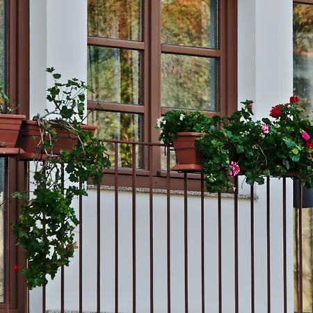 Spot Sao Bento *